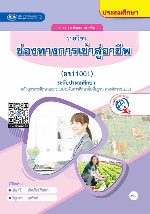 ช่องทางการเข้าสู่อาชีพ