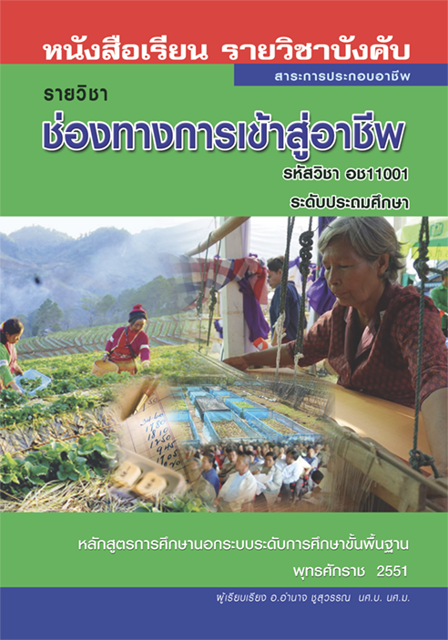 ช่องทางการเข้าสู่อาชีพ