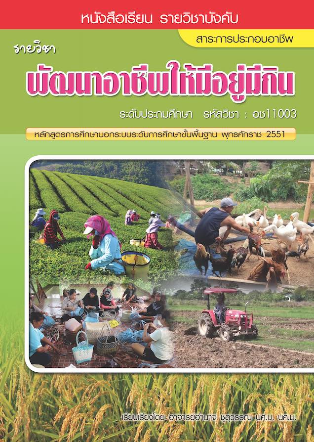 วิชาพัฒนาอาชีพให้มีอยู่มีกิน (อช11003)