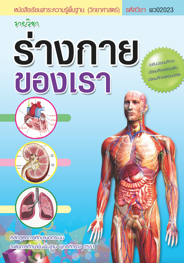 รายวิชาร่างกายของเรา (พว02023)